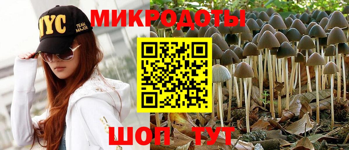Псилоцибиновые грибы прущие грибы Гуково