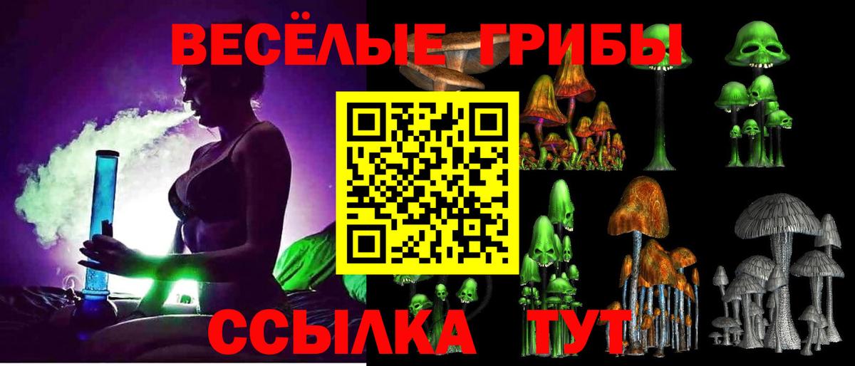 Псилоцибиновые грибы ЛСД  Псилоцибиновые грибы Magic Shrooms  Гуково  цена   Вход с VPN 